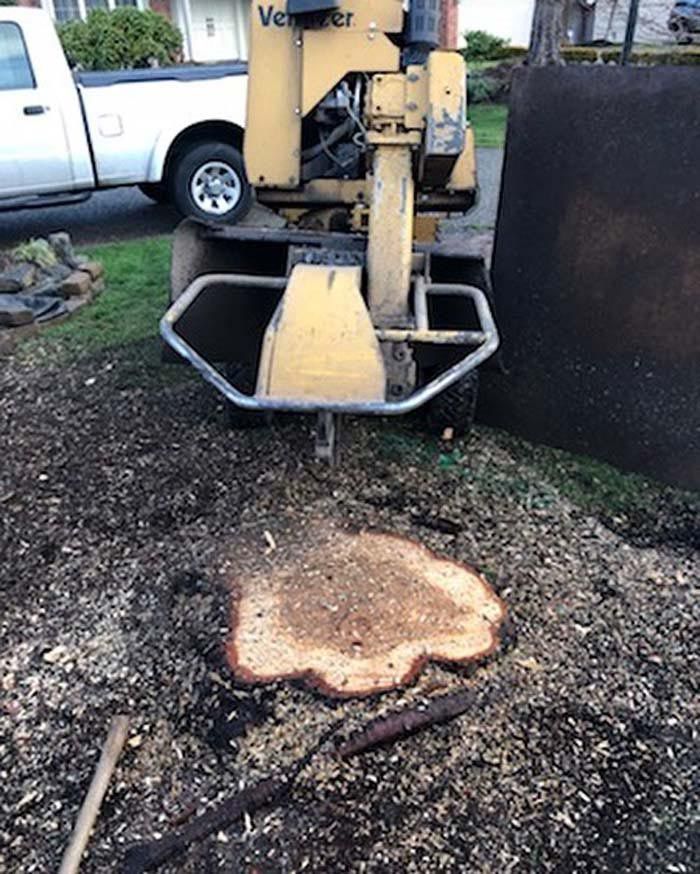 A large tree stump is being removed by a machine that says vector