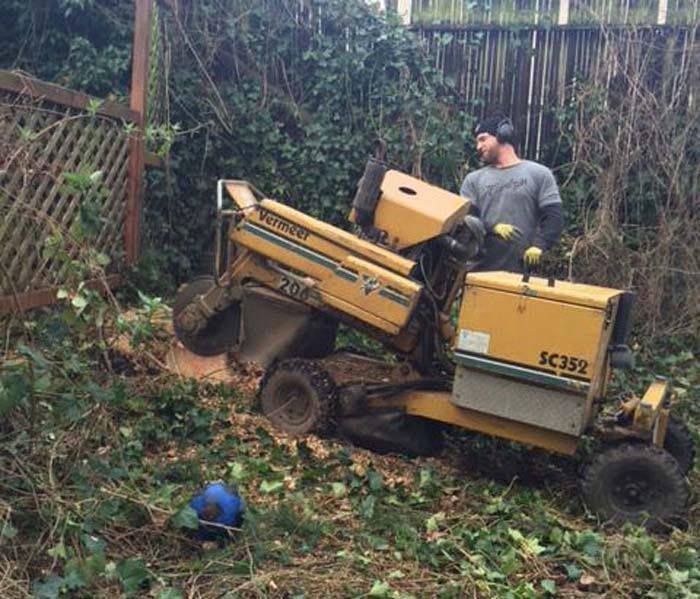 A man is standing next to a stump grinder in a yard.