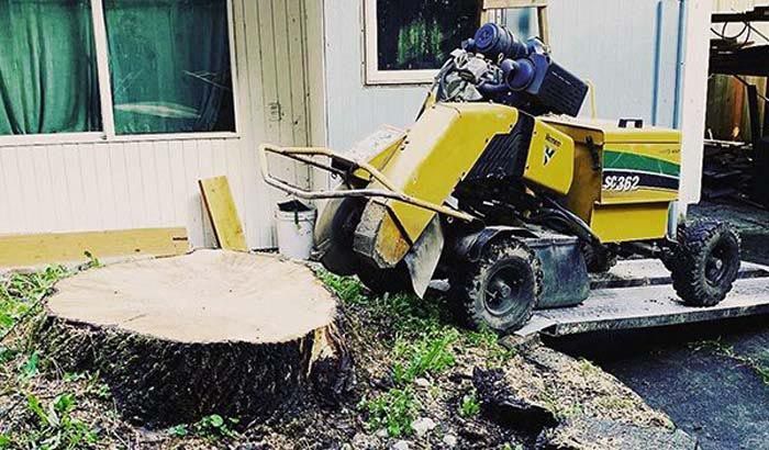 A large tree stump is being removed by a machine.