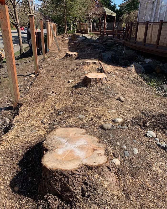 A tree stump is sitting in the middle of a dirt field next to a wooden fence.
