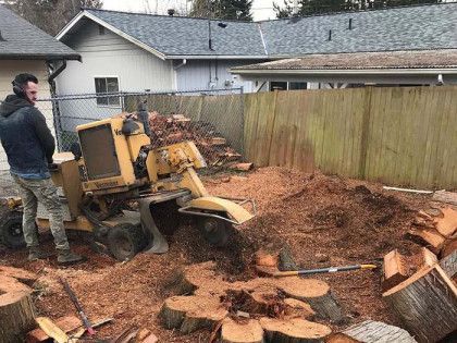 A man is using a stump grinder to remove a tree stump.