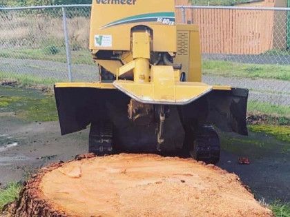 A yellow vermeer stump grinder is working on a tree stump