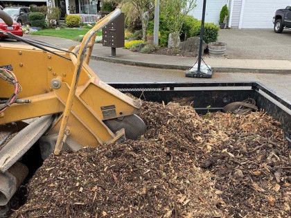A pile of wood chips is sitting in a trailer next to a stump grinder.
