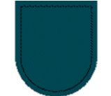 2nd Battalion, 19 th Special Forces Group (Airborne), WVARNG Badge