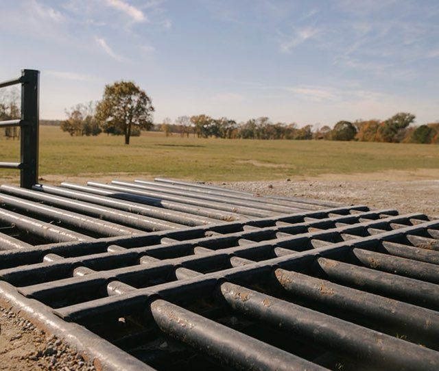 Cattle guard on a dirt road with a grassy field and trees in the background under a blue sky.