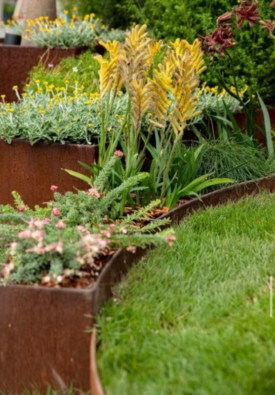Terraced garden with rust-colored metal edging and vibrant yellow and green plants.