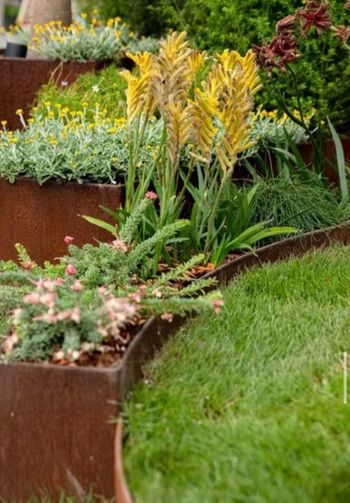 A tiered garden bed with rust-colored metal edging, yellow flowers, and green grass.