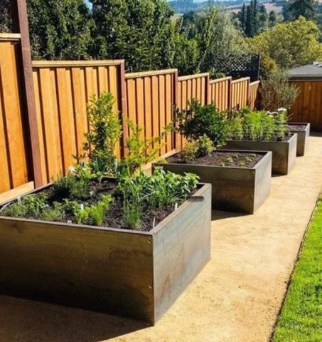 Raised metal garden beds with plants alongside a wooden fence.