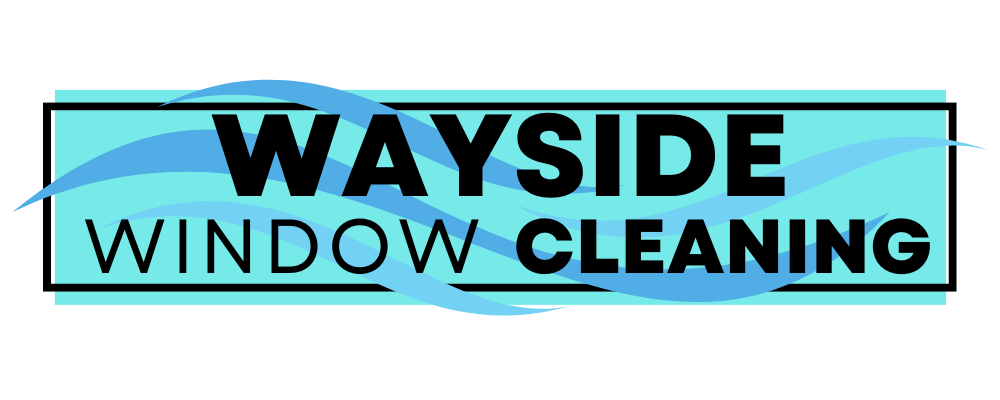best window washers in burnaby bc