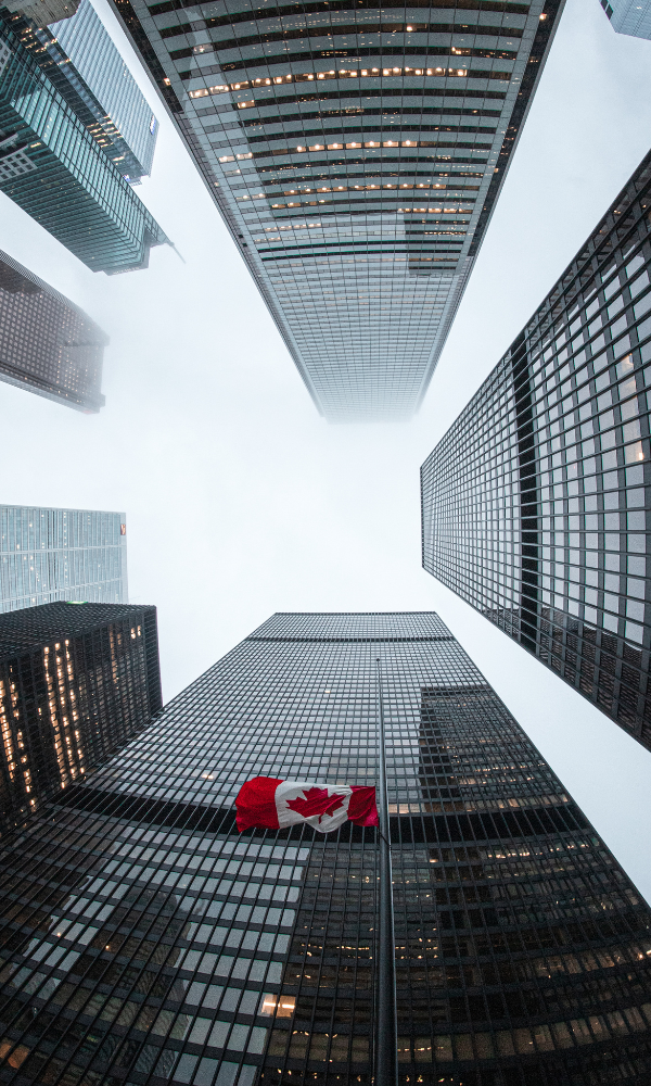 Window Cleaning Company