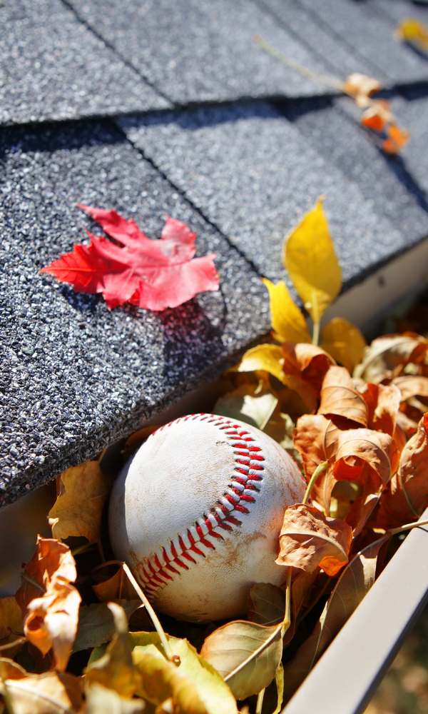 cheap window cleaning services