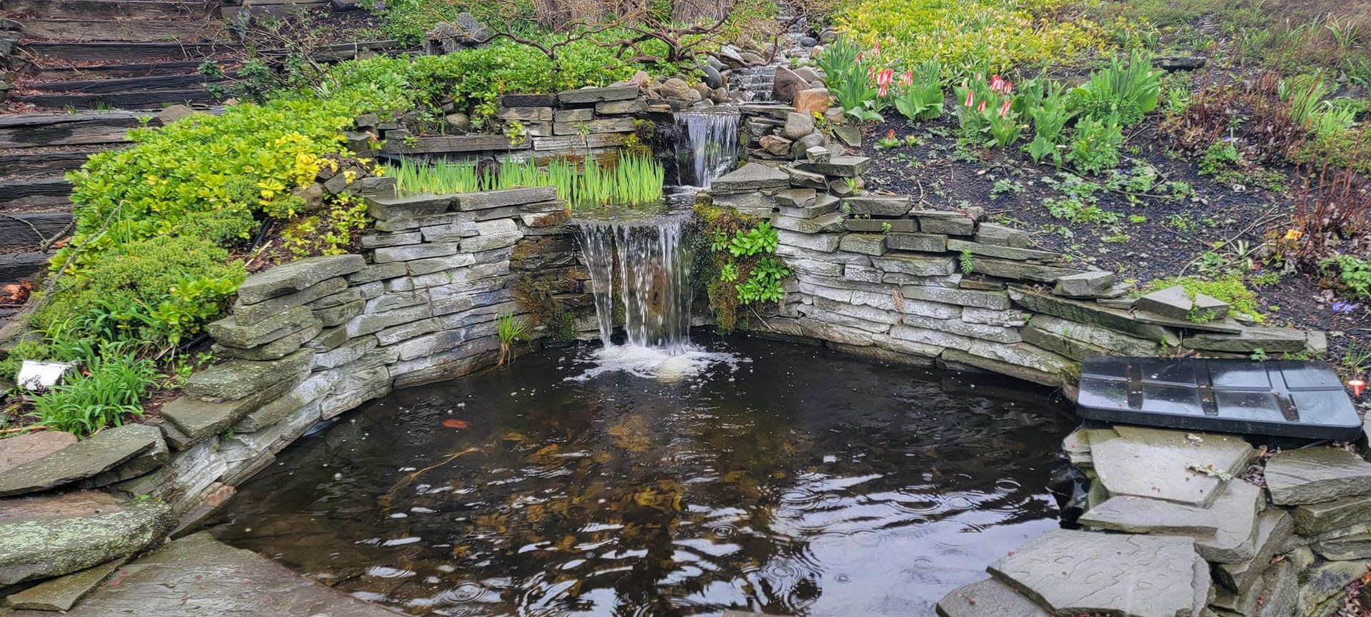 A small pond with a waterfall in the middle of it.