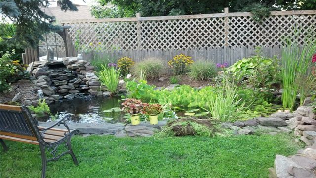 There is a pond in the backyard with a waterfall and a bench.