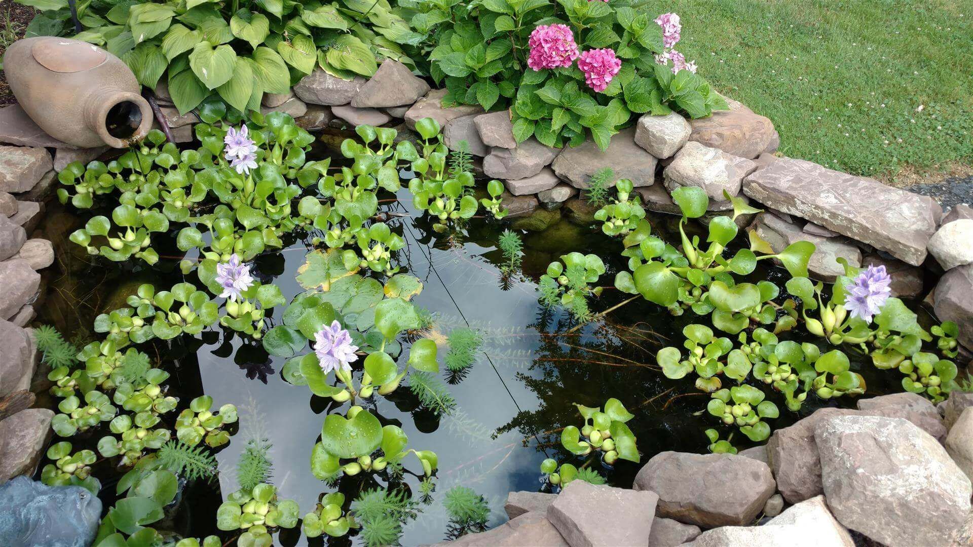 A small pond surrounded by rocks and flowers