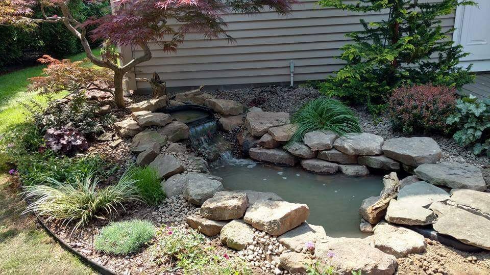 A small pond surrounded by rocks and plants in front of a house.