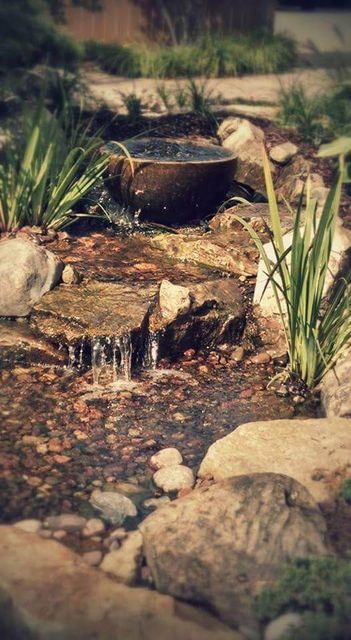 A small pond with a fountain in the middle of it surrounded by rocks and plants.