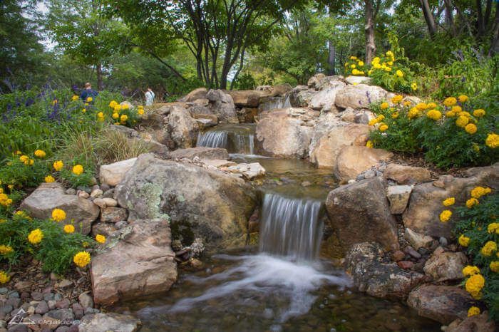 A small waterfall surrounded by rocks and yellow flowers in a garden.