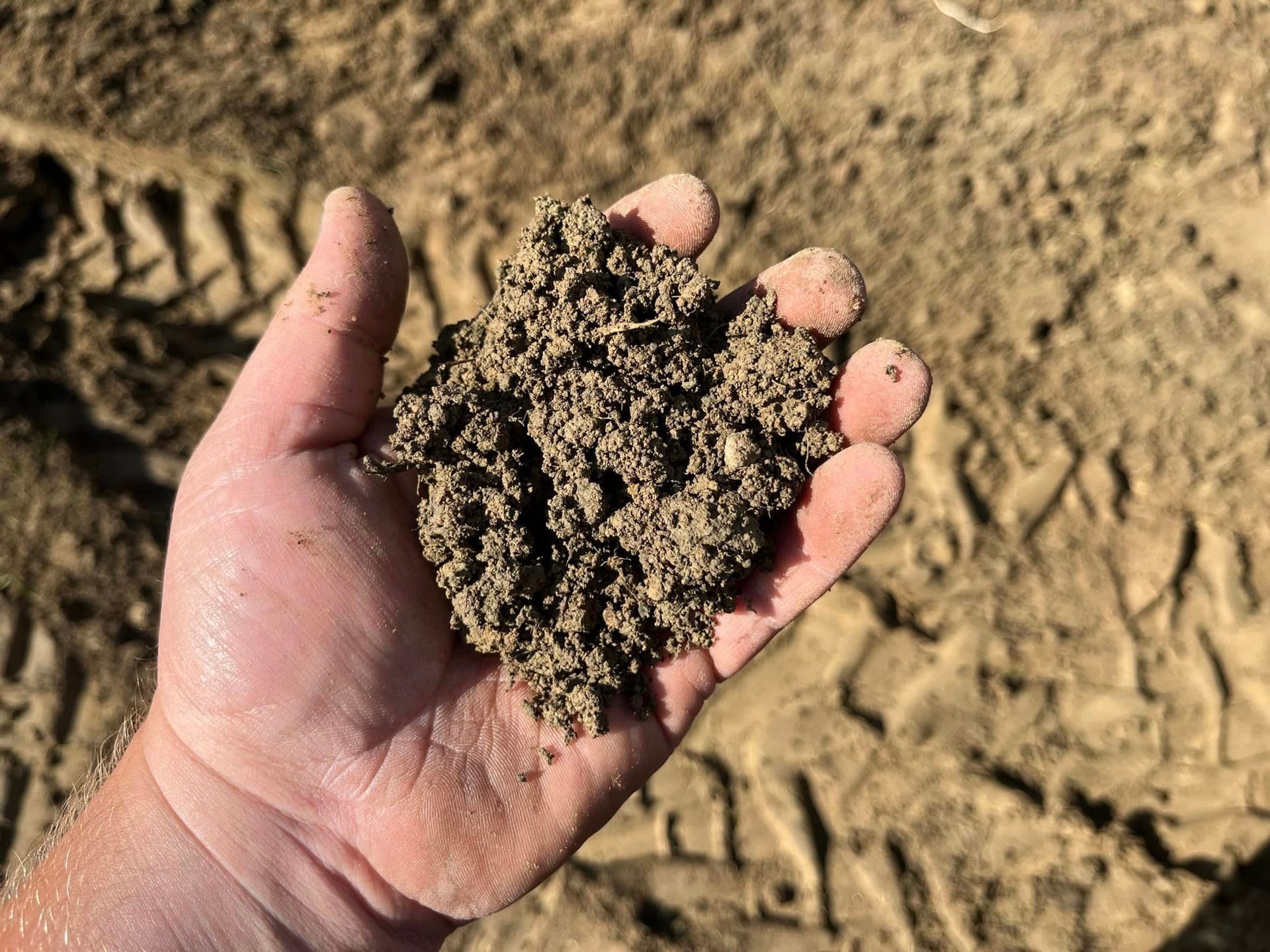 A person is holding a pile of dirt in their hand.