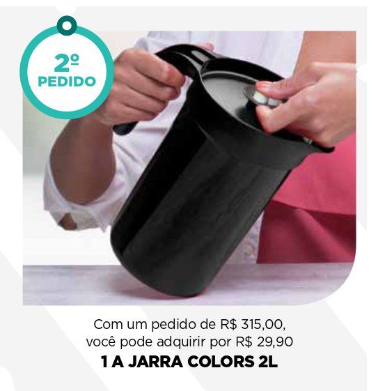 Imagem dos produtos do  segundo pedido do kit inicial,  1 jarra colors 2 litros