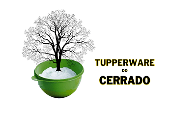 www.tupperwaredocerrado.com.br