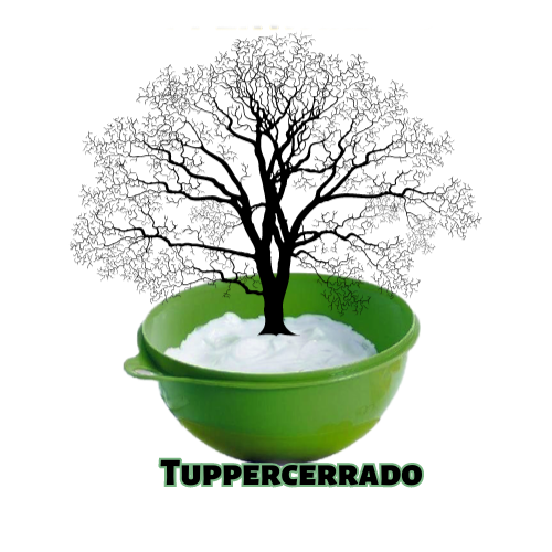 www.tupperwaredocerrado.com.br