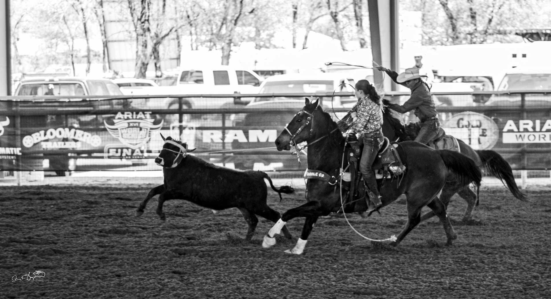 Two riders on horses roping a steer in a rodeo arena.