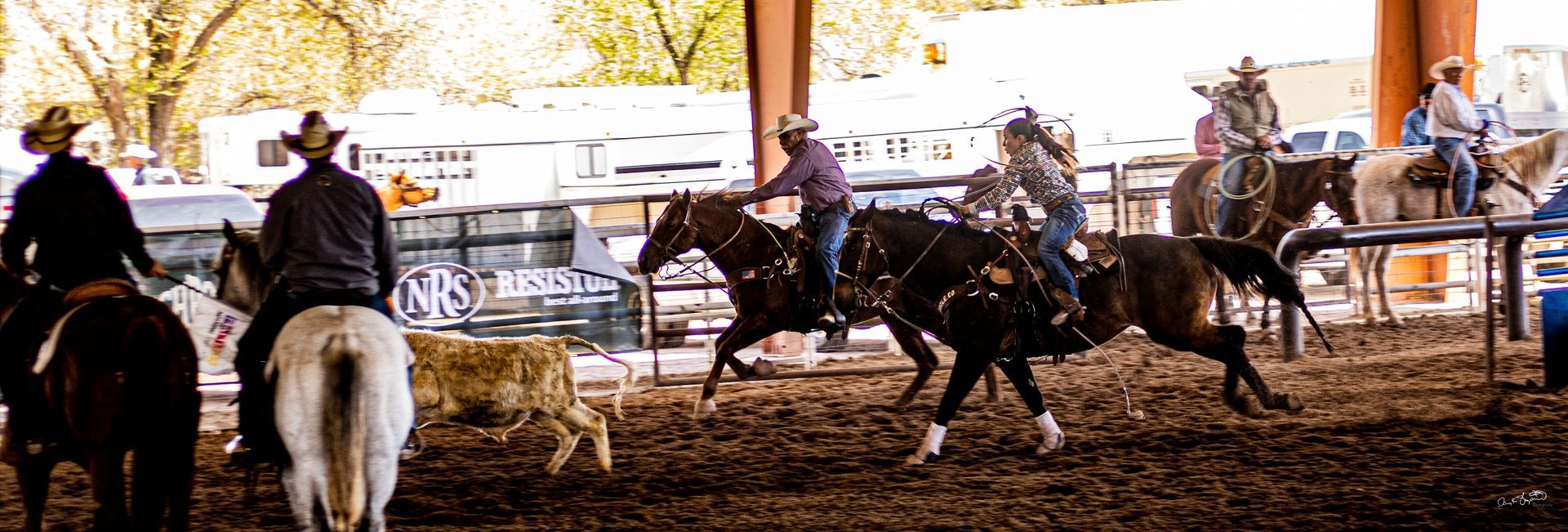 Cowboys riding horses, roping a calf at a rodeo event. Arena setting with spectators in the background.