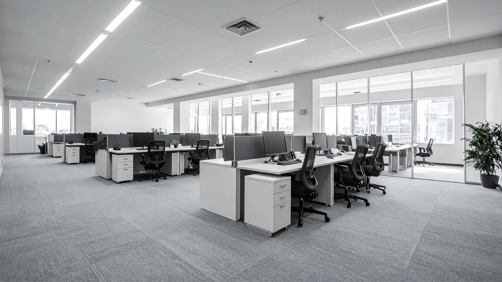 Open office space with multiple workstations, grey carpet, and large windows.