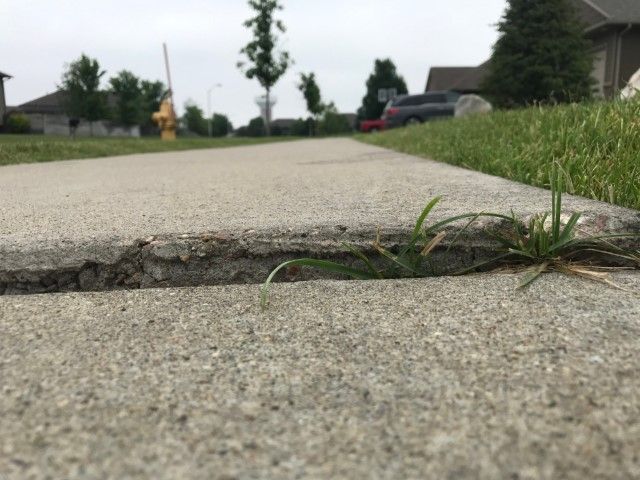 Close-up of cracked concrete sidewalk with grass growing in the crack; neighborhood in background.