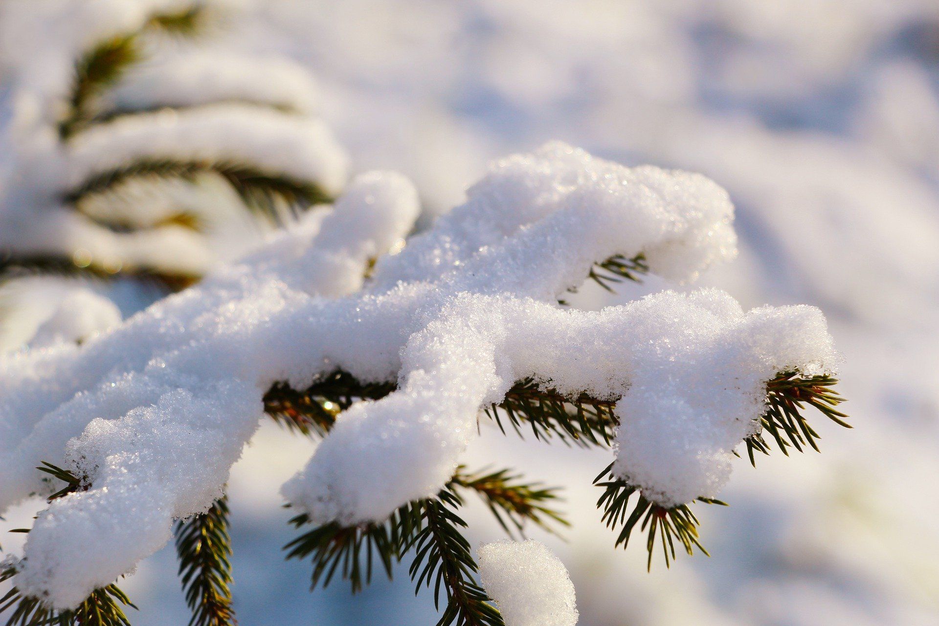 De eerste sneeuwvlokken van het winterseizoen zijn gevallen