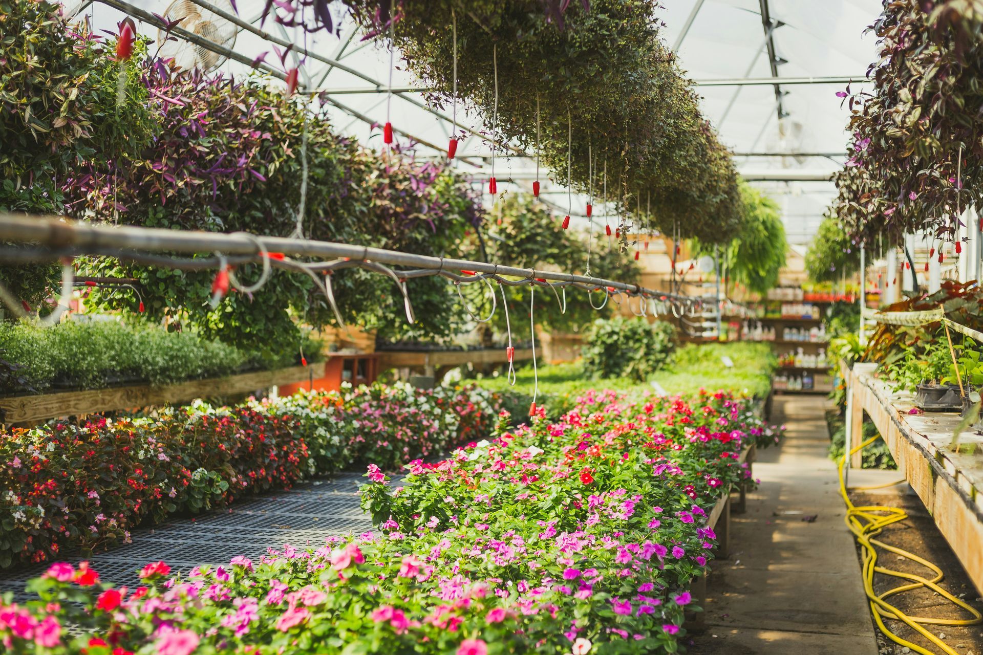 HortiContact 2026 bezoeken? Informatie, tijden & tickets