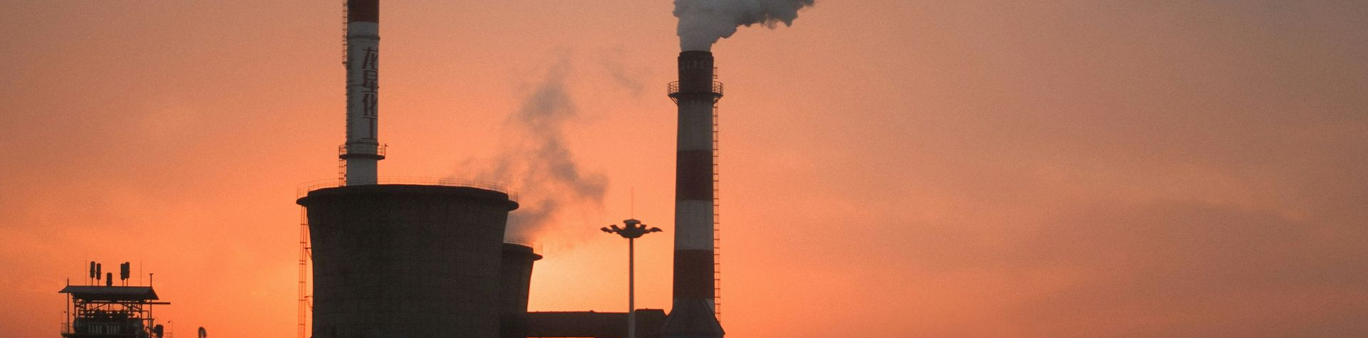 Opschaling biobased industrie stokt door gebrek aan infrastructuur en financiering