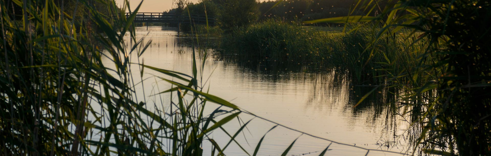 Geef waterschappen een grotere stem in debat over overstromingsrisico’s