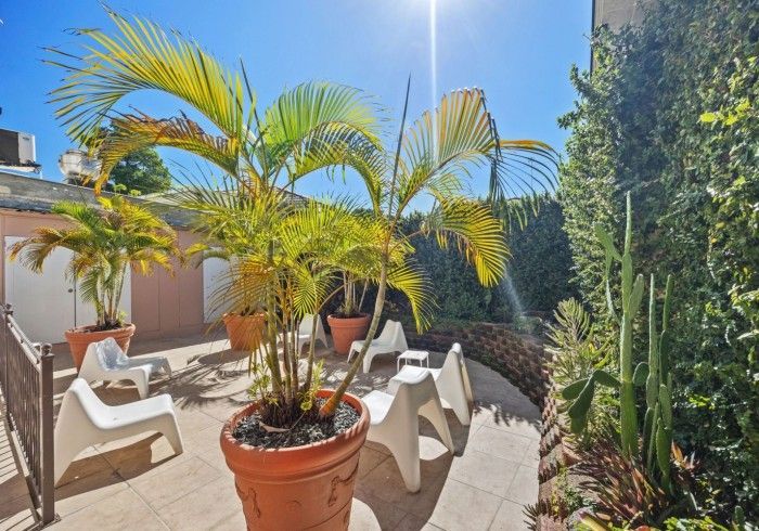 Patio with potted palm trees, white chairs, green wall, and sunny blue sky.