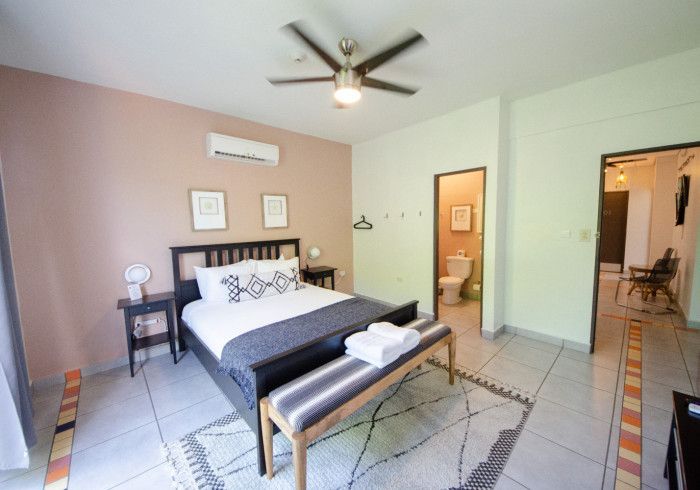 Bedroom with a black bed, pink walls, a rug, and a view into a bathroom and another room.