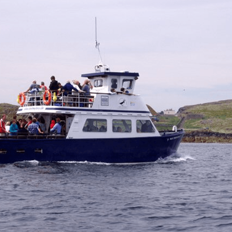 A large blue and white boat is floating on a body of water