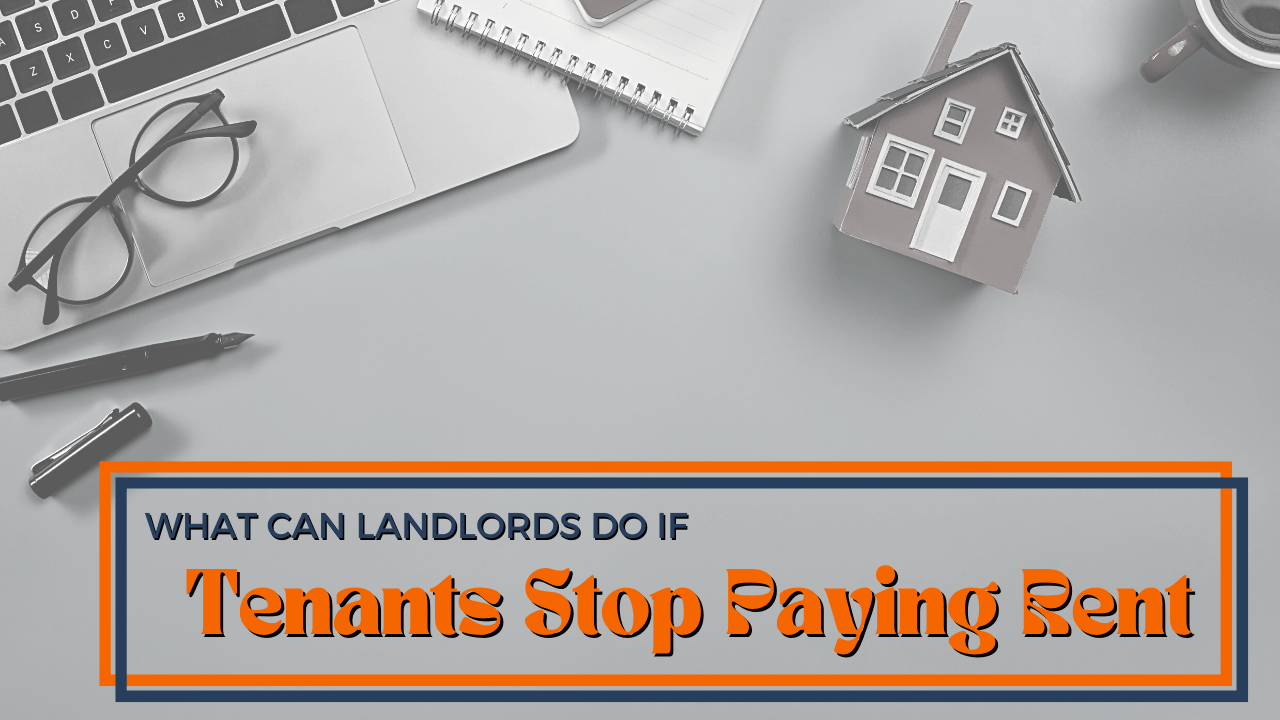 What Can San Diego Landlords Do If Tenants Stop Paying Rent? - Article Banner