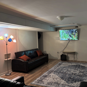 Cozy living room with black sofa, floor lamp, patterned rug, and wall-mounted TV showing a nature scene