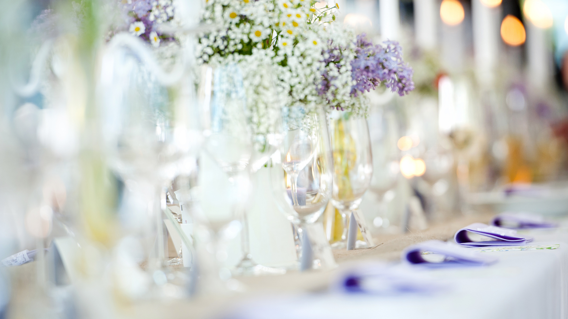 A group of people are sitting at a table toasting with wine glasses