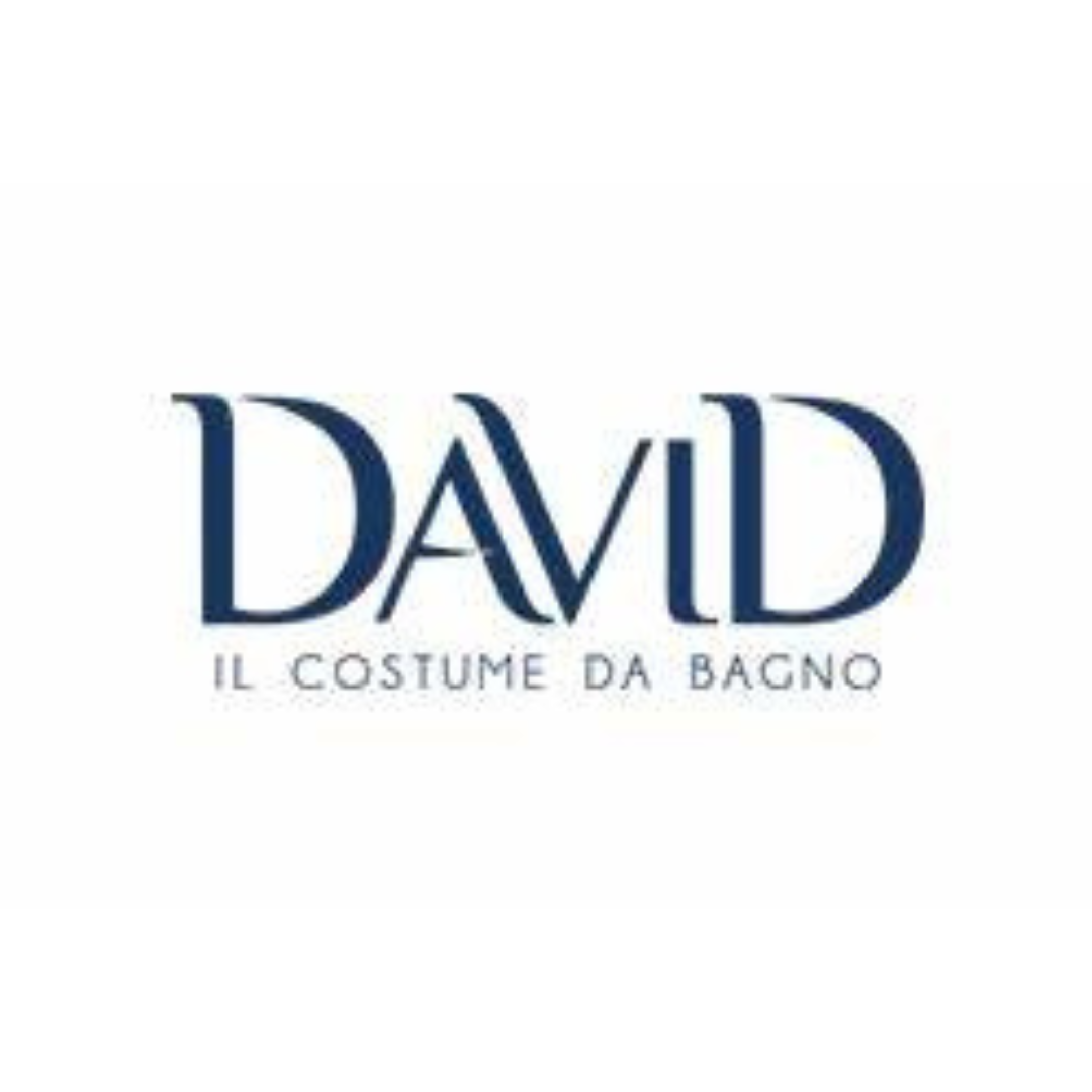 A david il costume da bagno logo on a white background