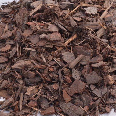 Pine Bark — Townsville, QLD — Flintstones Landscape Land