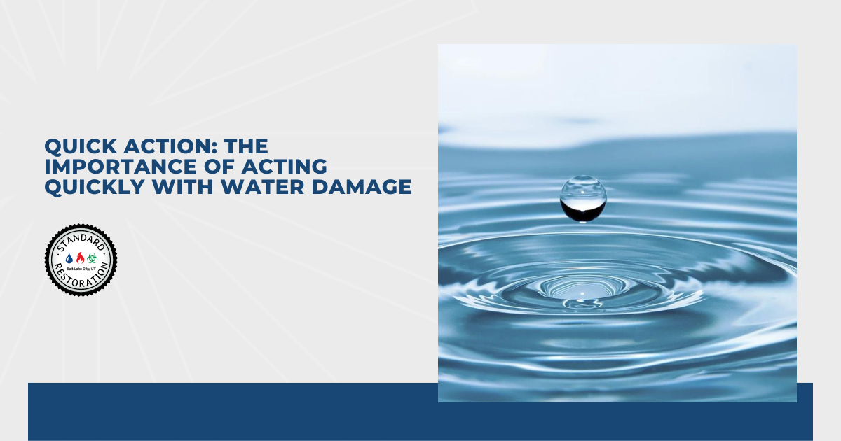 Quick Action: The Importance of Acting Quickly with Water Damage