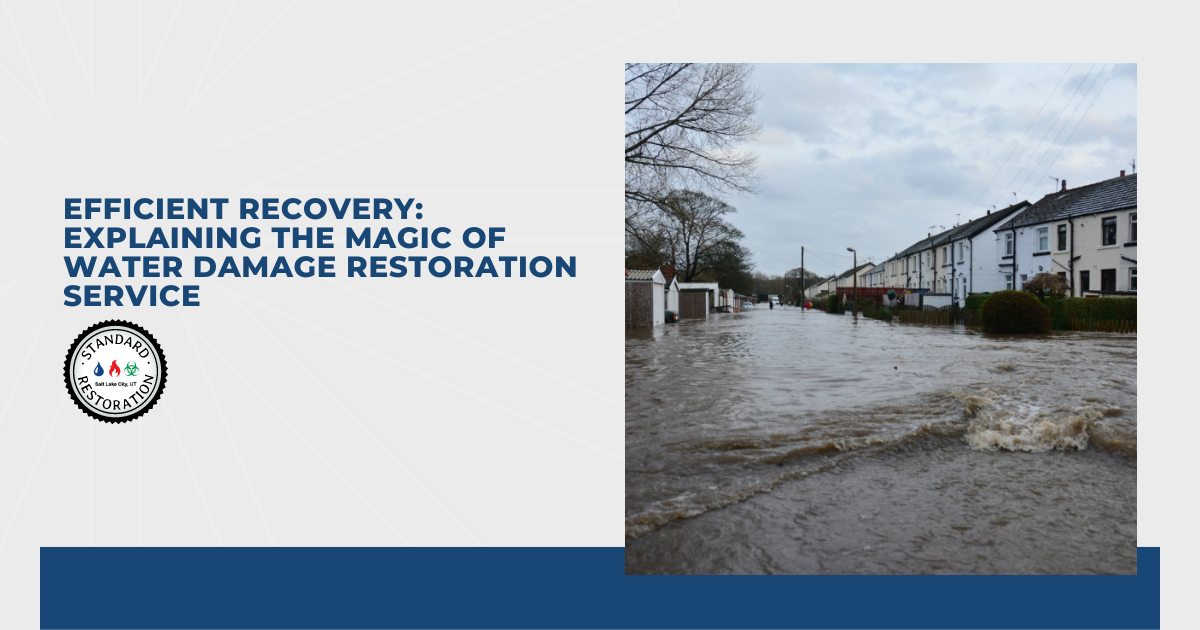 Efficient Recovery: Explaining the Magic of Water Damage Restoration Services