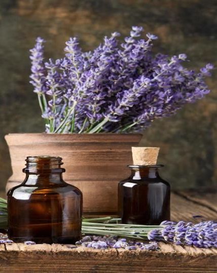 Natural Burial Services | Candle Light Funeral Home by Craig Witzke
