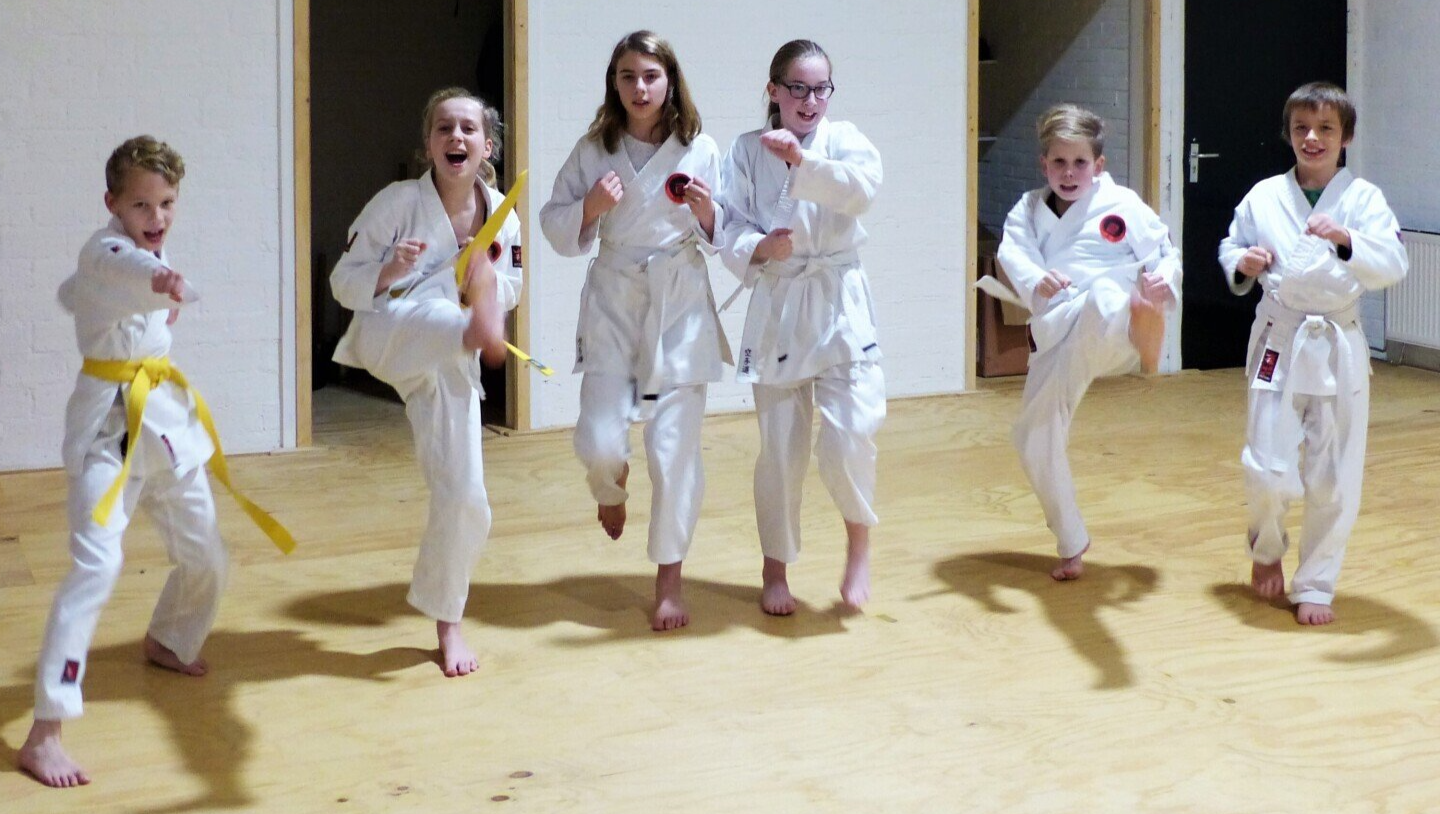 Karate jeugd wijchen