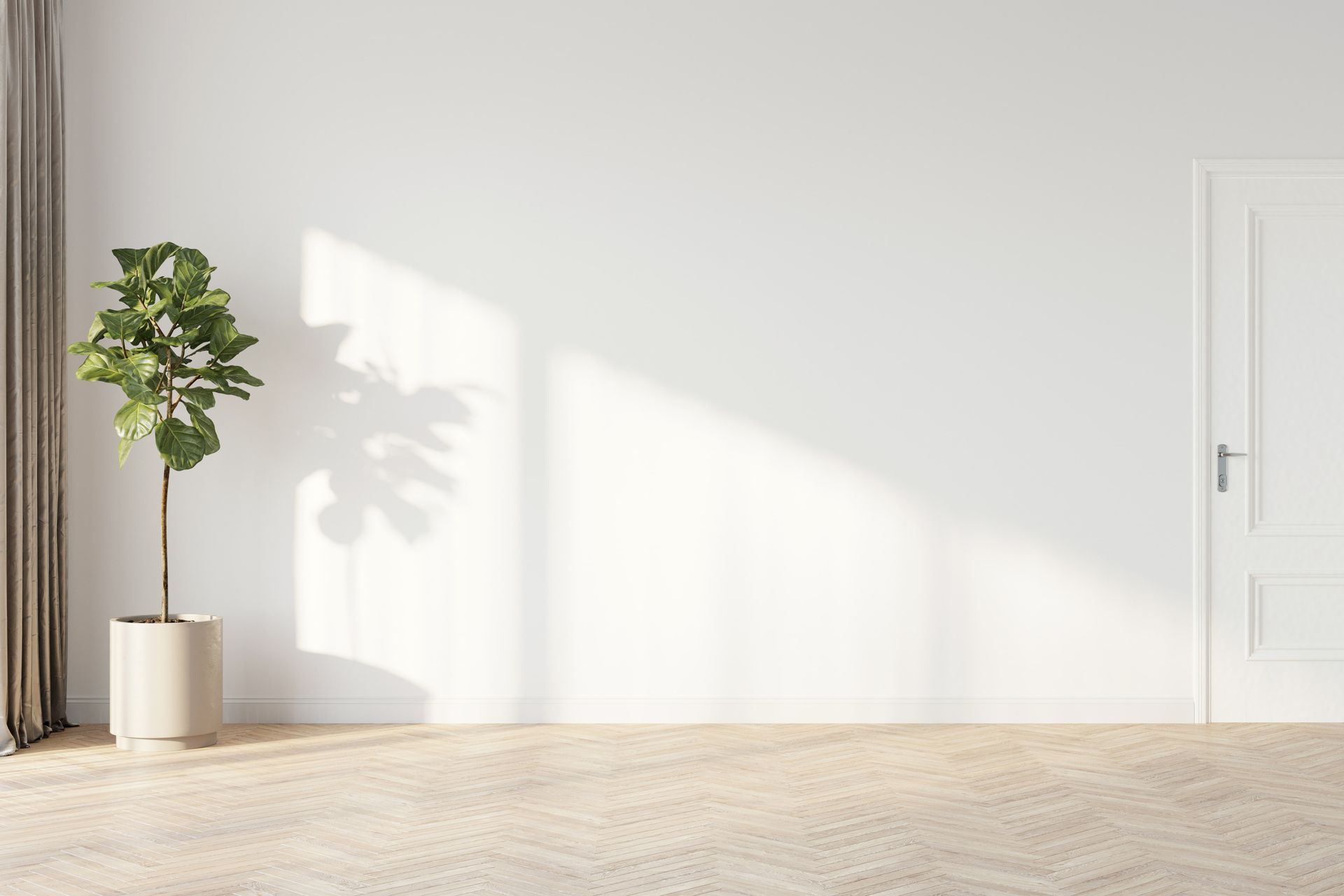 Fiddle-leaf fig in beige pot, casting shadow on white wall, next to a beige curtain and white door on wood floor.