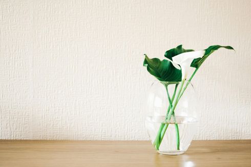 Calla lilies in a clear glass vase on a wooden table against a textured cream wall.