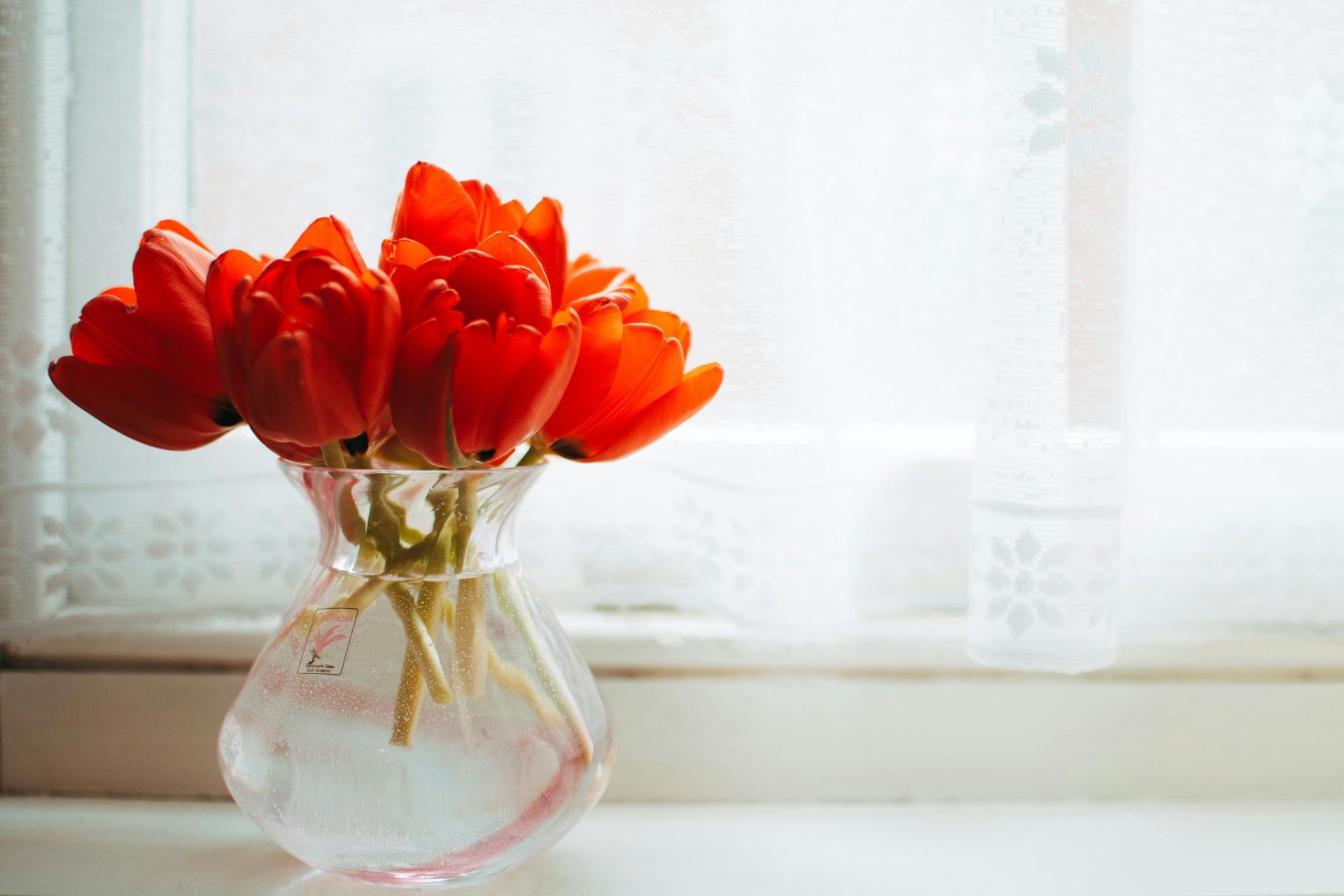 Red tulips in a clear vase on a white windowsill, with a sheer curtain in the background.