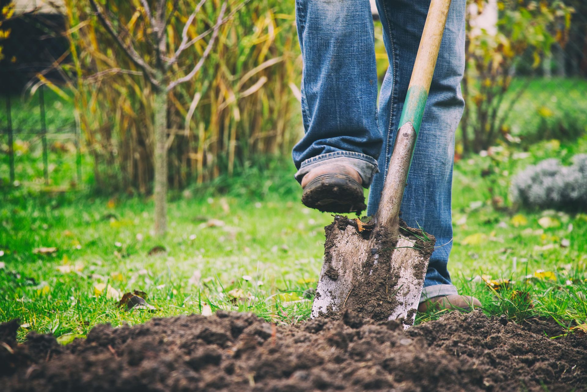 A person is digging in the dirt with a shovel.