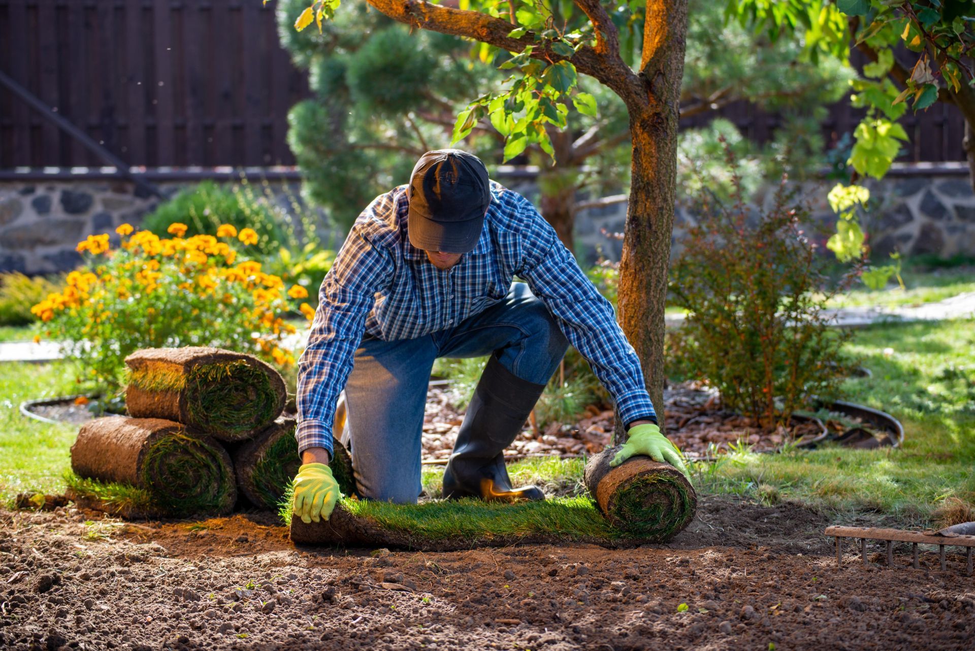 A man is kneeling down and rolling a roll of grass in a garden.